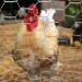 Image of توری مرغی گالوانیزه | توری مرغی 1 اینچ | توری مرغی 3/4 اینچ | توری کالا