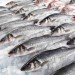 Image of برای طول عمر بیشتر، ماهی بخورید - مقالات سلامتی