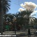 Image of فیلم انفجار بمب در چابهار
